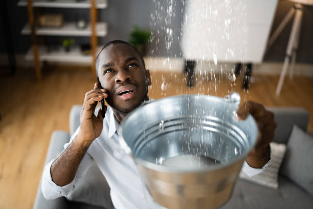 Best Water damage cleanup near me  in Commack, NY
