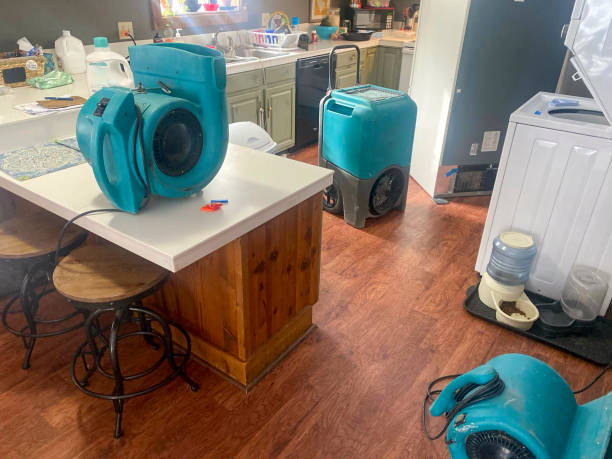 Best Flooded house restoration  in Commack, NY