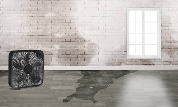 Best Emergency water damage restoration  in Commack, NY