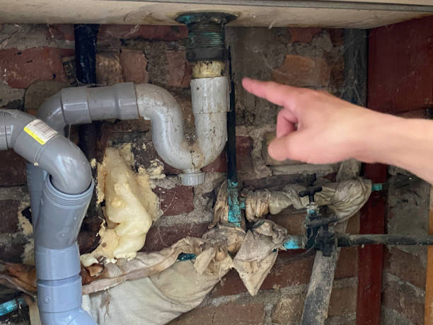 Best Mold removal after water damage  in Commack, NY